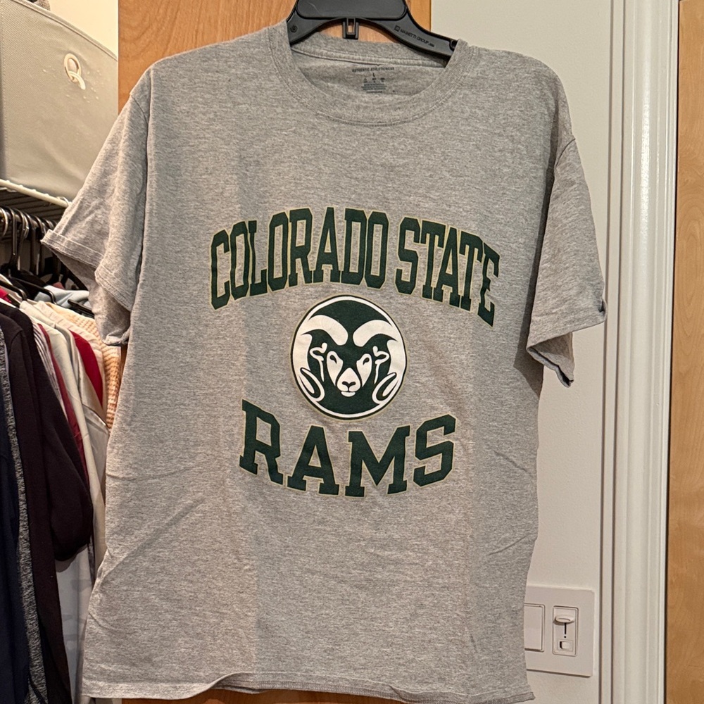 Champion Gray Athletic T-Shirt
